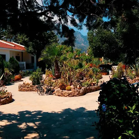 Apartamento Almond Village *