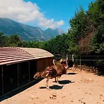 Almond Village דירה קיירניה
