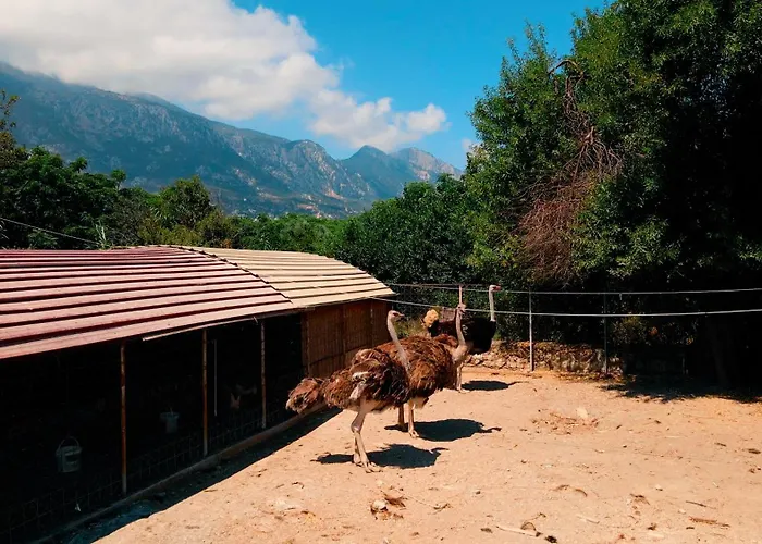 Almond Village Apartmán Kyrenia (Northern Cyprus)