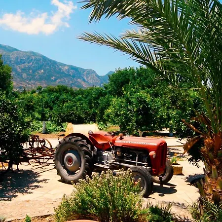 Almond Village